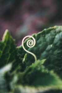 bogomil-mihaylov-EPdCJtYPrPE-unsplash (1)