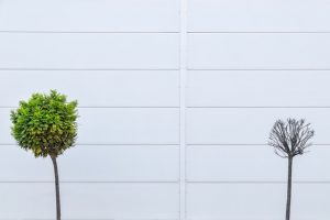 pawel-czerwinski-lw5KEl7JoB0-unsplash