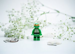 hello-i-m-nik-cUQGqJ6mBAw-unsplash