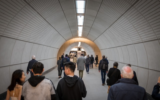 alexander-london-T0qe5VYPGV0-unsplash