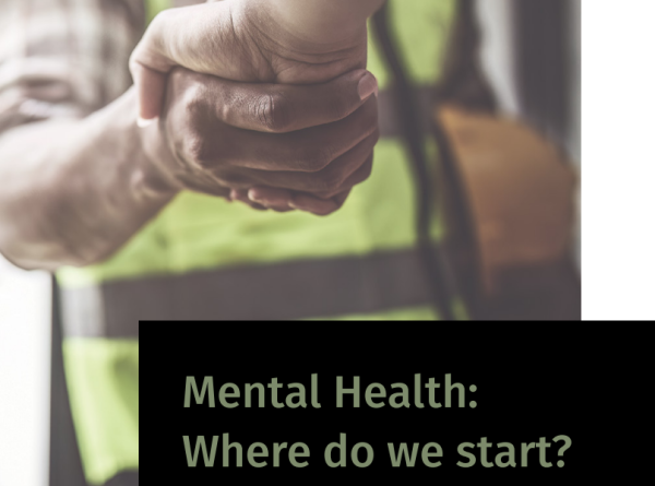 Mental Health Where do we start report