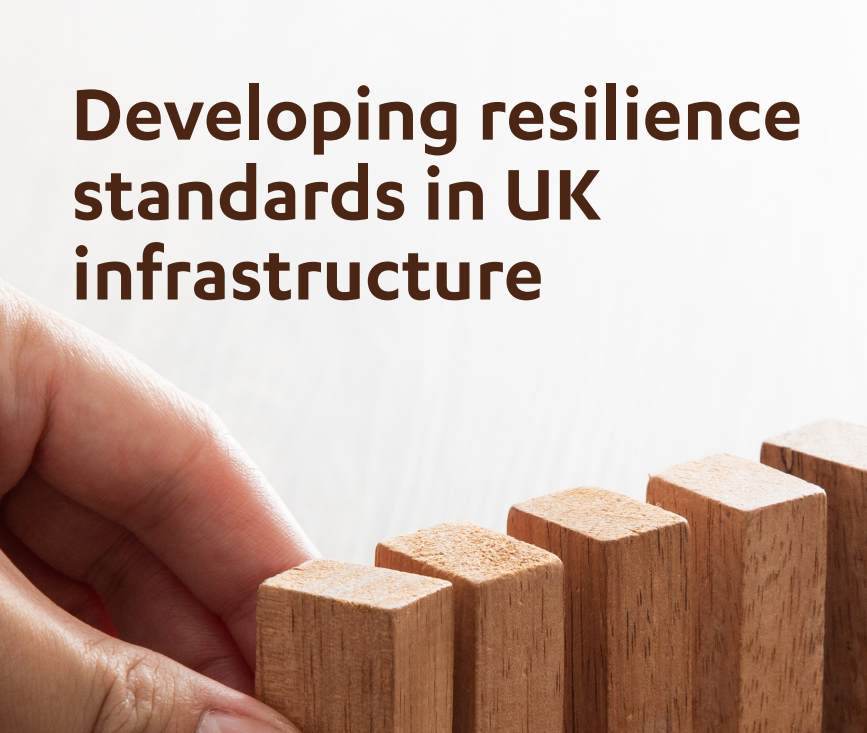 Developing resilience standards report